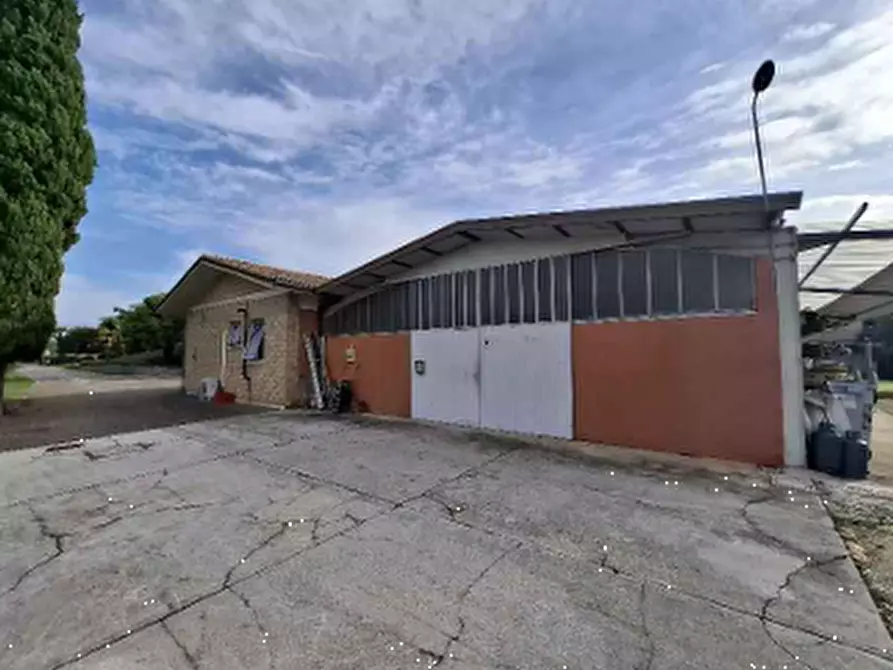 Immagine 5 di Laboratorio in vendita  in Frazione Svegliano a Bagnaria Arsa