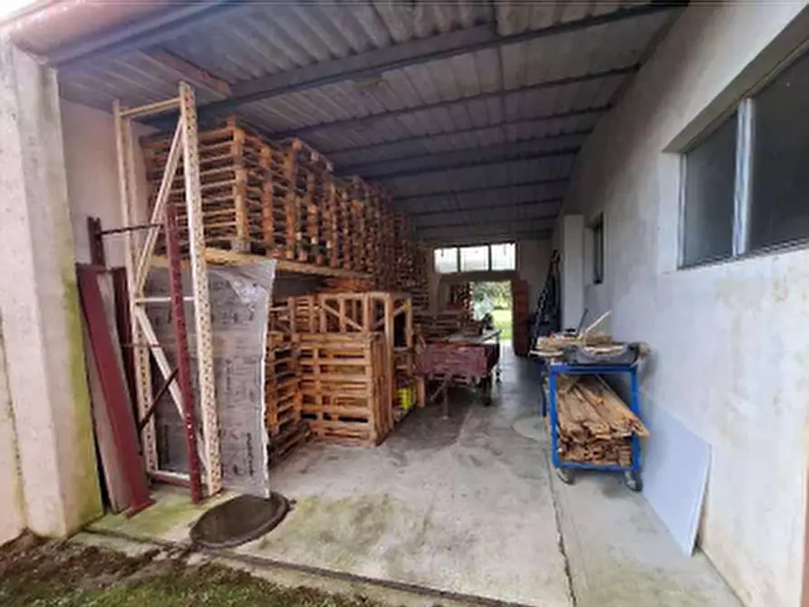 Immagine 10 di Laboratorio in vendita  in Frazione Svegliano a Bagnaria Arsa