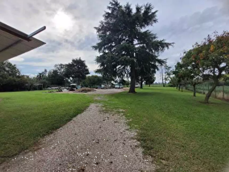 Immagine 9 di Laboratorio in vendita  in Frazione Svegliano a Bagnaria Arsa