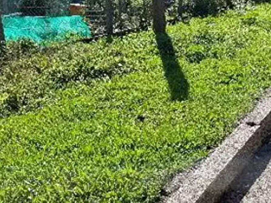 Immagine 11 di Appartamento in vendita  in via roma a Bordano