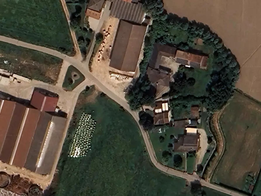 Immagine 8 di Casa indipendente in vendita  in Via Pastoreria a Gazzo Padovano