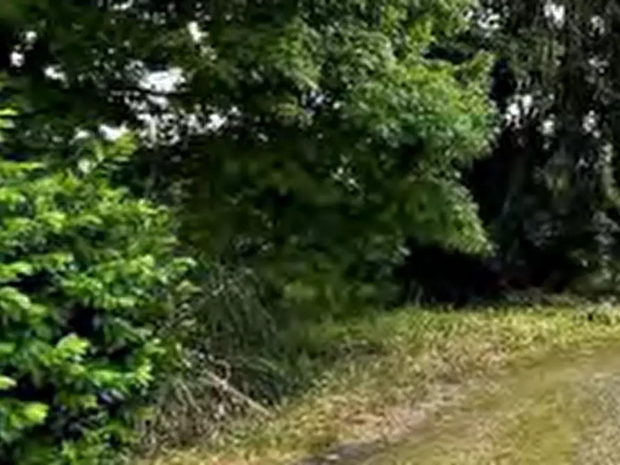 Immagine 6 di Casa indipendente in vendita  in Via Pastoreria a Gazzo Padovano