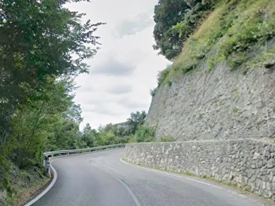 Immagine 9 di Terreno agricolo in vendita  in Località Tremosine a Tremosine