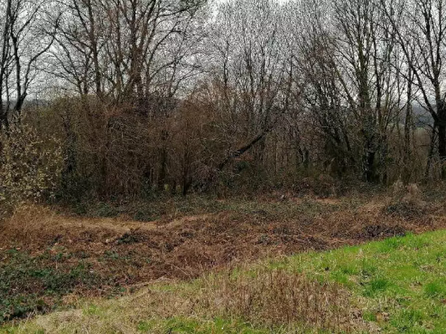 Immagine 1 di Terreno agricolo in vendita  in Via del Fontanone a Azzate