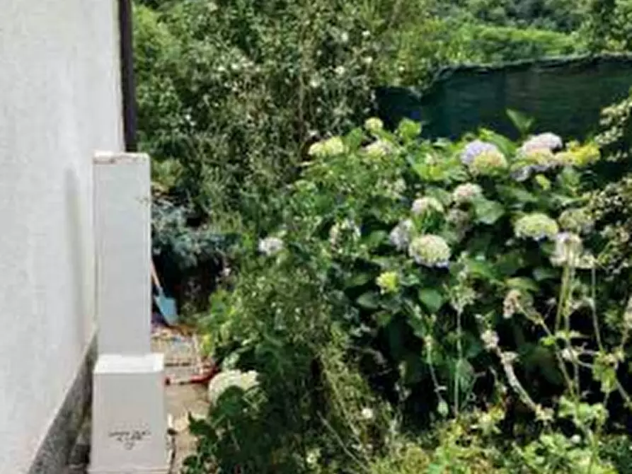 Immagine 1 di Casa indipendente in vendita  in Via G. Verga a Bisuschio