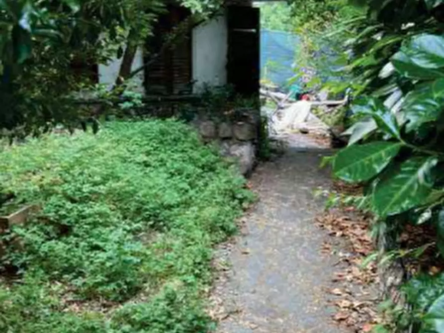 Immagine 9 di Casa indipendente in vendita  in Via G. Verga a Bisuschio