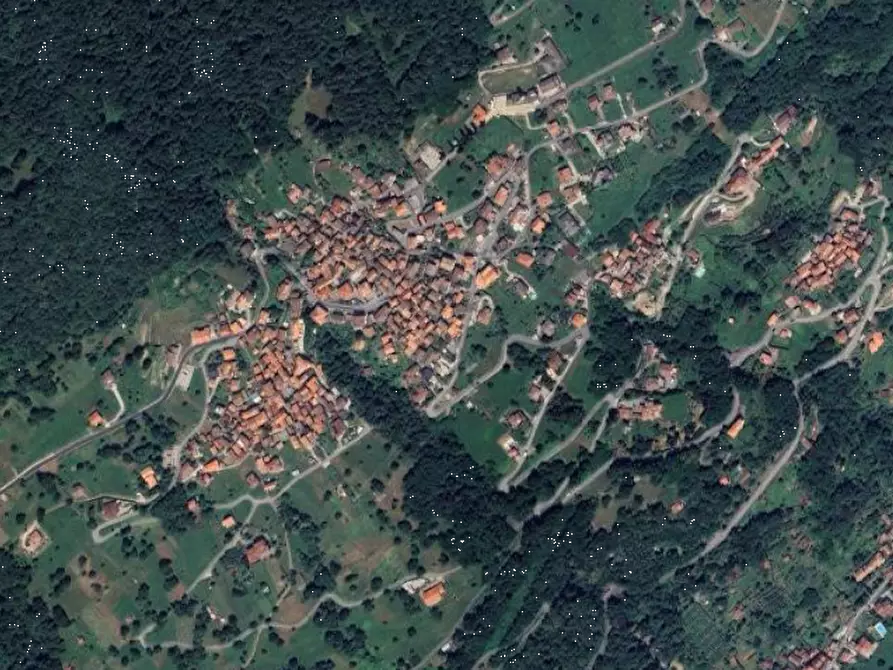 Immagine 2 di Terreno agricolo in vendita  in Località Stazzona a Stazzona
