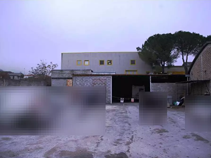 Immagine 3 di Capannone industriale in vendita  in Via Giovanni Agnelli a Campello Sul Clitunno
