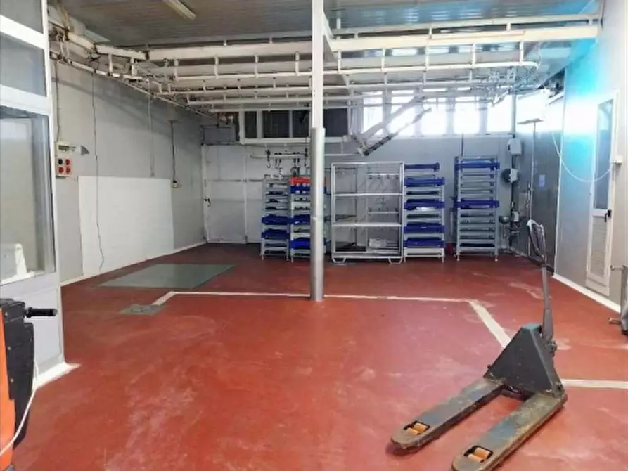 Immagine 13 di Capannone industriale in vendita  in Località nave nei pressi barbarasco a Tresana