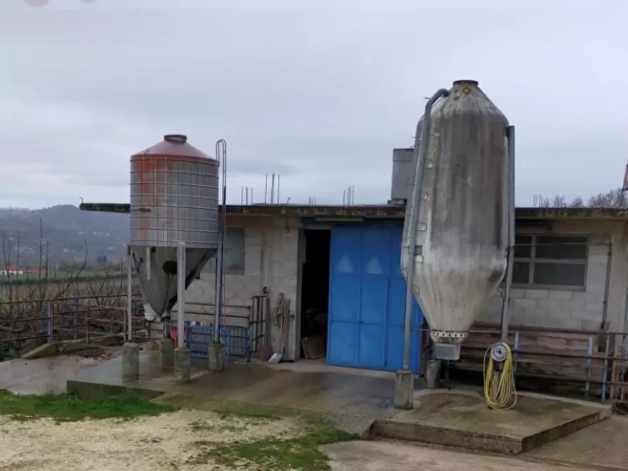 Immagine 4 di Appartamento in vendita  in Contrada Tella a Bucchianico