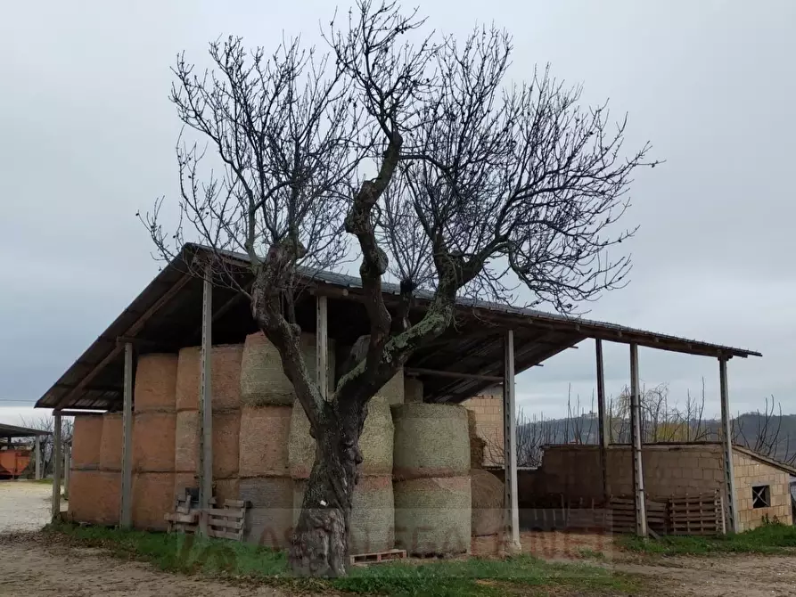 Immagine 5 di Appartamento in vendita  in Contrada Tella a Bucchianico