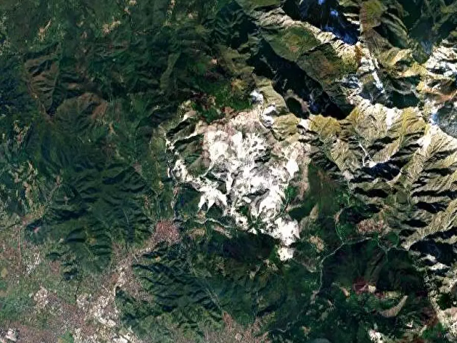 Immagine 7 di Terreno agricolo in vendita  in Località impruneta a Massa