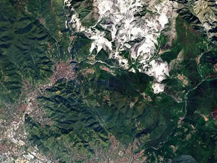 Immagine 6 di Terreno agricolo in vendita  in Località impruneta a Massa