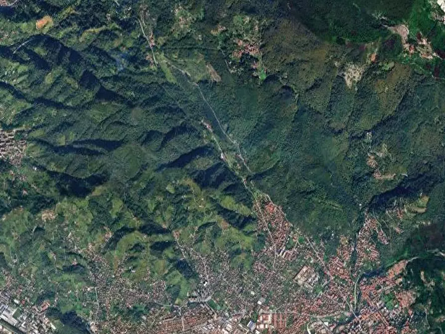 Immagine 5 di Terreno agricolo in vendita  in Località impruneta a Massa