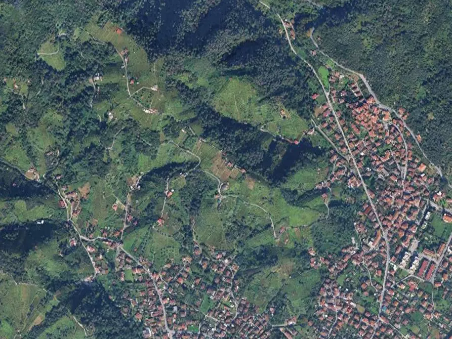 Immagine 3 di Terreno agricolo in vendita  in Località impruneta a Massa