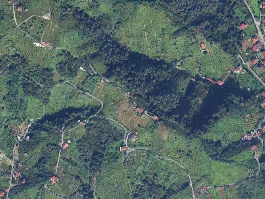 Immagine 2 di Terreno agricolo in vendita  in Località impruneta a Massa