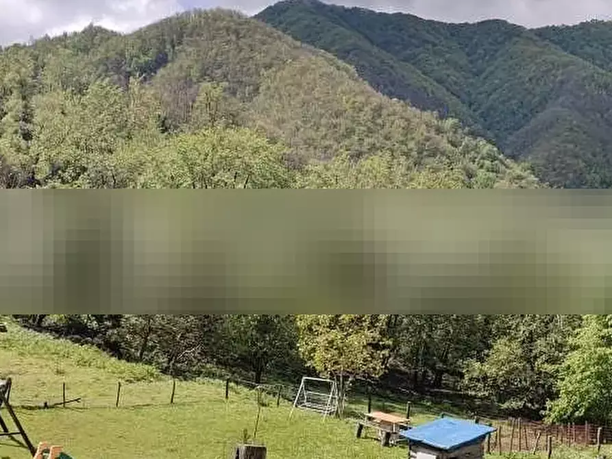 Immagine 1 di Terreno agricolo in vendita  in Mulazzo a Mulazzo