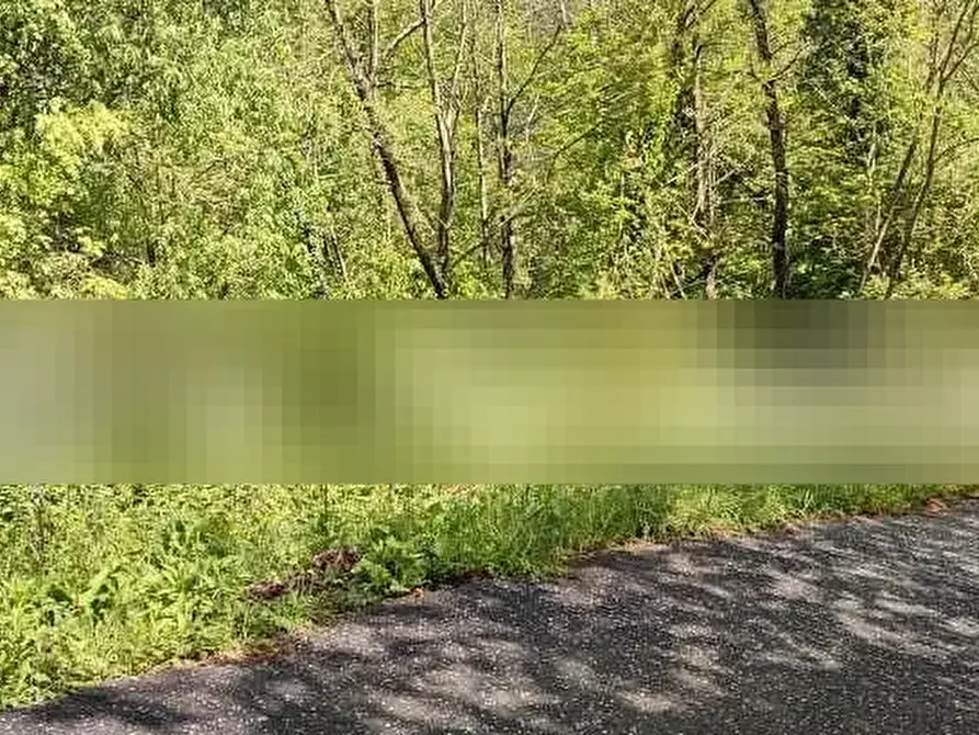 Immagine 2 di Terreno agricolo in vendita  in Mulazzo a Mulazzo