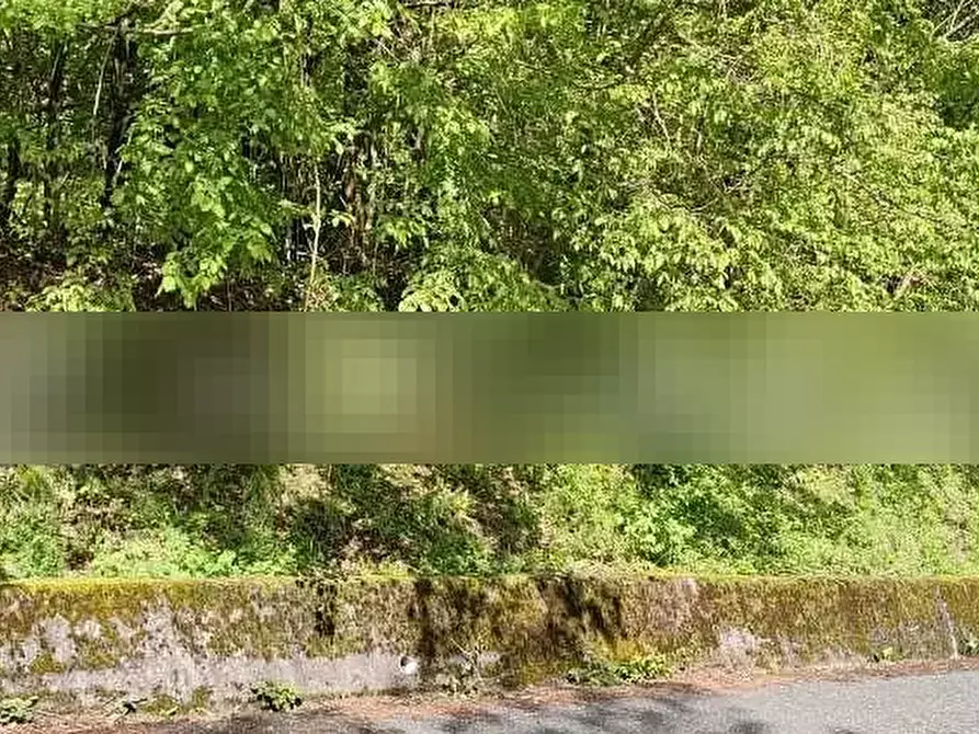 Immagine 3 di Terreno agricolo in vendita  in Mulazzo a Mulazzo