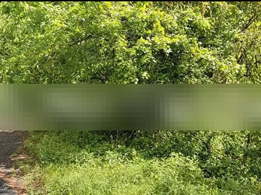 Immagine 4 di Terreno agricolo in vendita  in Mulazzo a Mulazzo