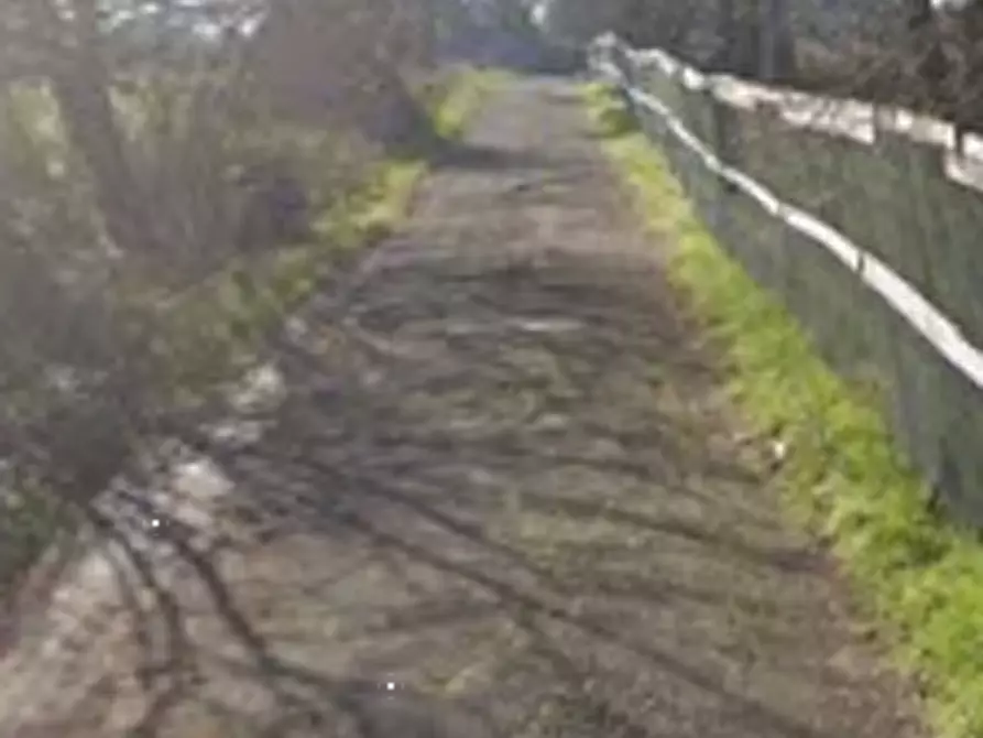 Immagine 6 di Negozio in vendita  in Via Flaminia a Roma