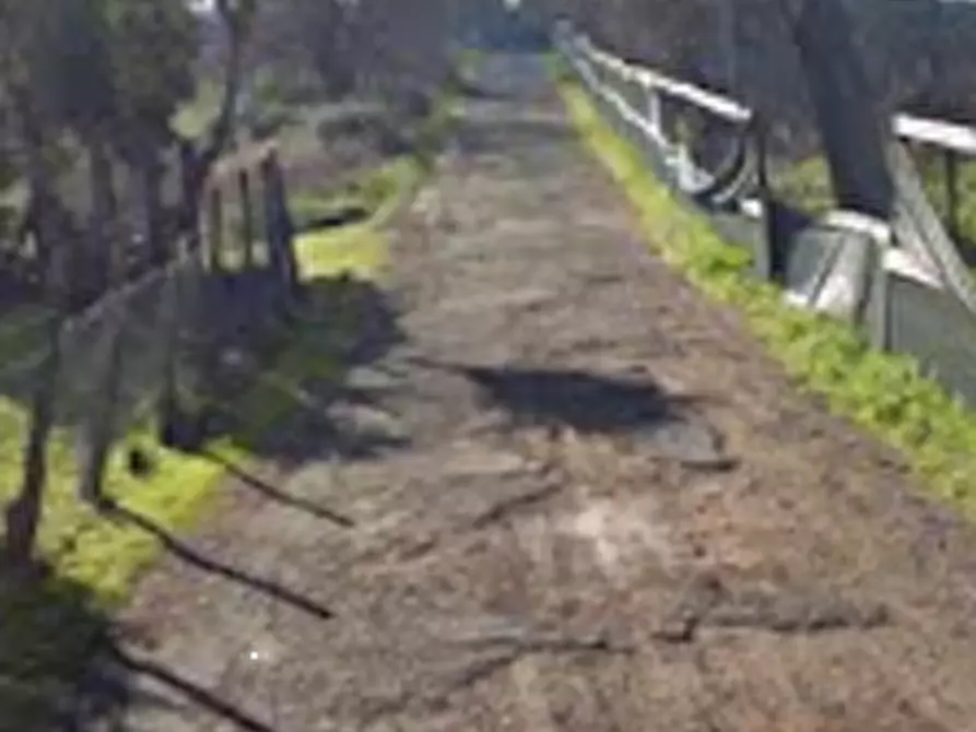 Immagine 7 di Negozio in vendita  in Via Flaminia a Roma