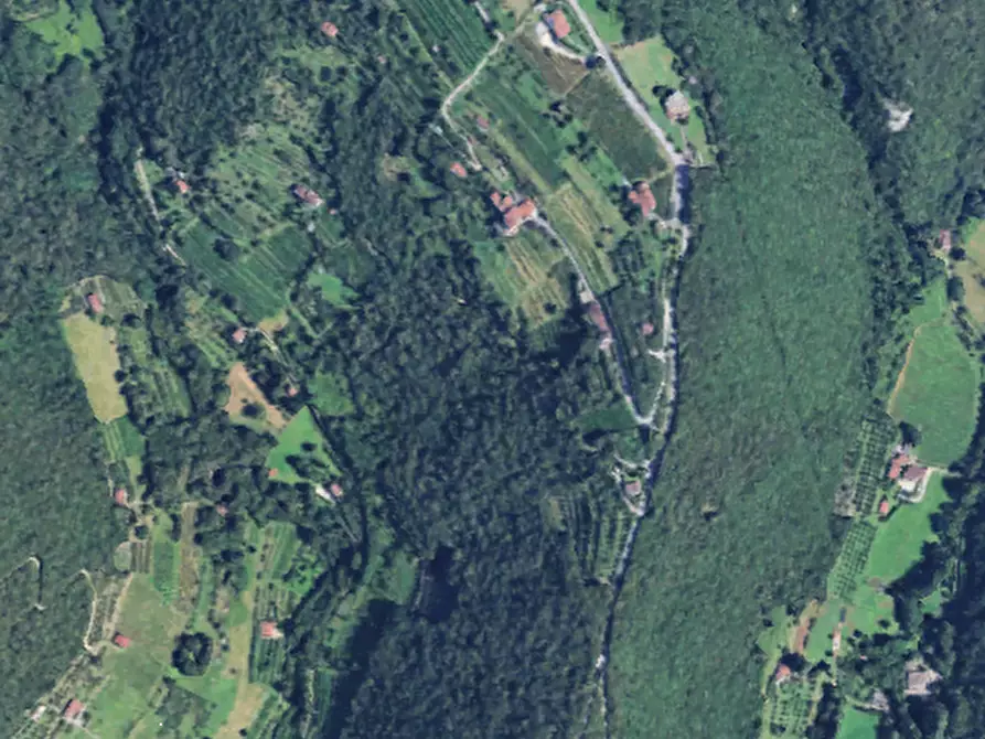 Immagine 11 di Terreno agricolo in vendita  in Località Ome  a Ome