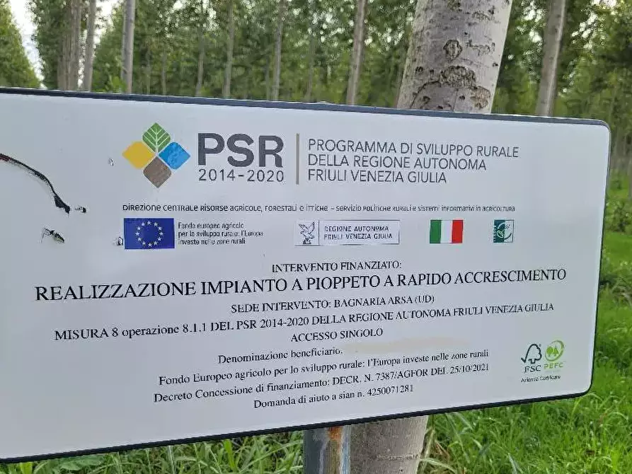 Immagine 12 di Terreno agricolo in vendita  in Frazione Privano a Bagnaria Arsa