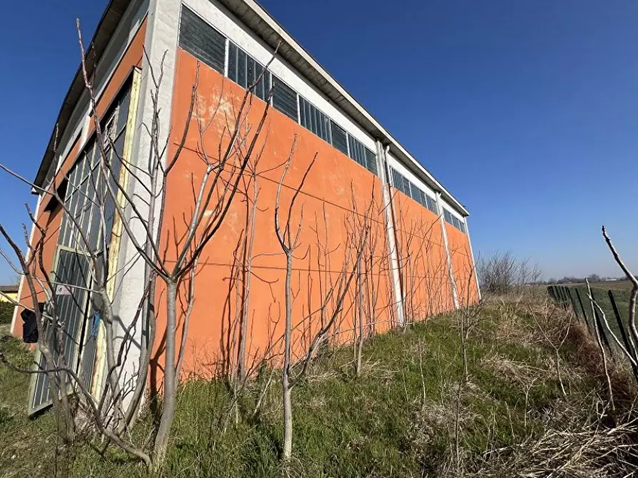 Immagine 3 di Capannone industriale in vendita  in Via Banzi Cento a Budrio