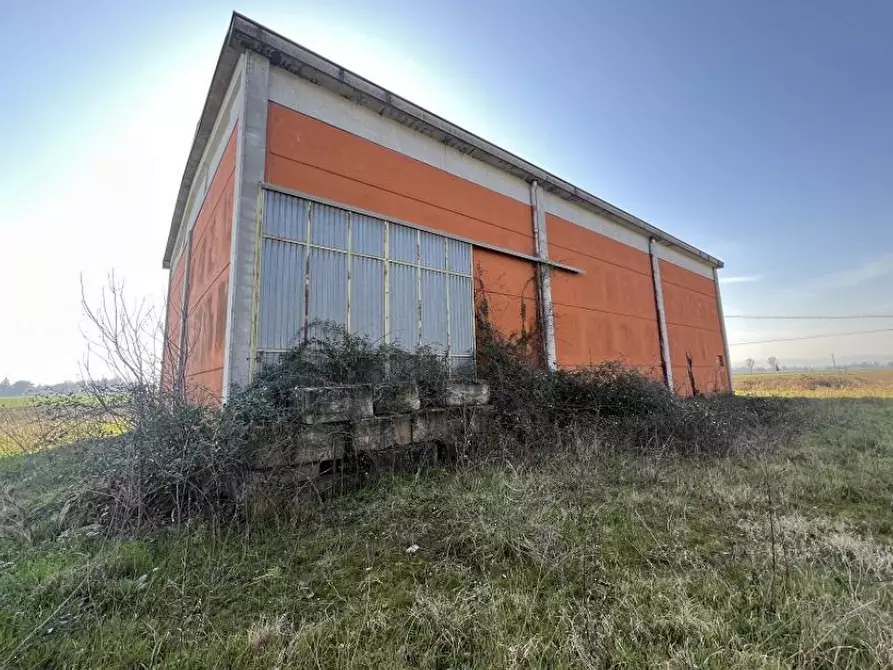 Immagine 5 di Capannone industriale in vendita  in Via Banzi Cento a Budrio