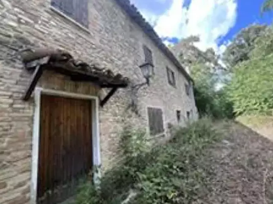 Immagine 4 di Casa indipendente in vendita  in Località San Giovanni in Petra a Peglio