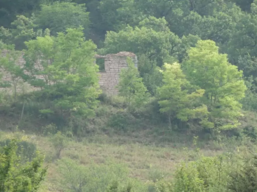 Immagine 1 di Rustico / casale in vendita  in Loc. Belvedere a Cantiano
