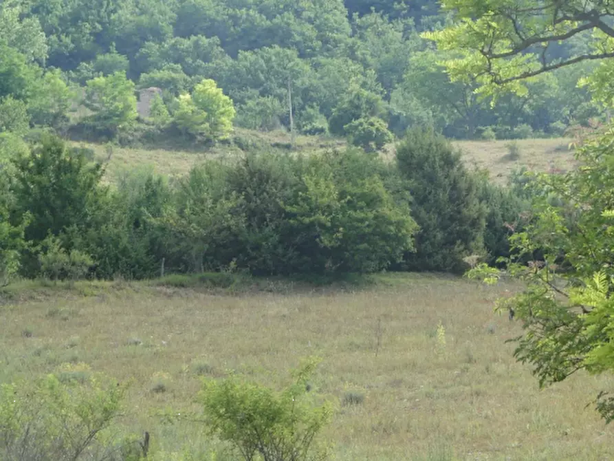 Immagine 3 di Rustico / casale in vendita  in Loc. Belvedere a Cantiano