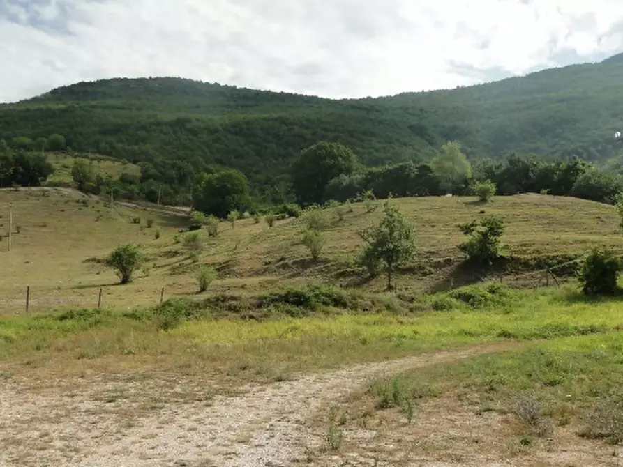 Immagine 5 di Rustico / casale in vendita  in Loc. Belvedere a Cantiano