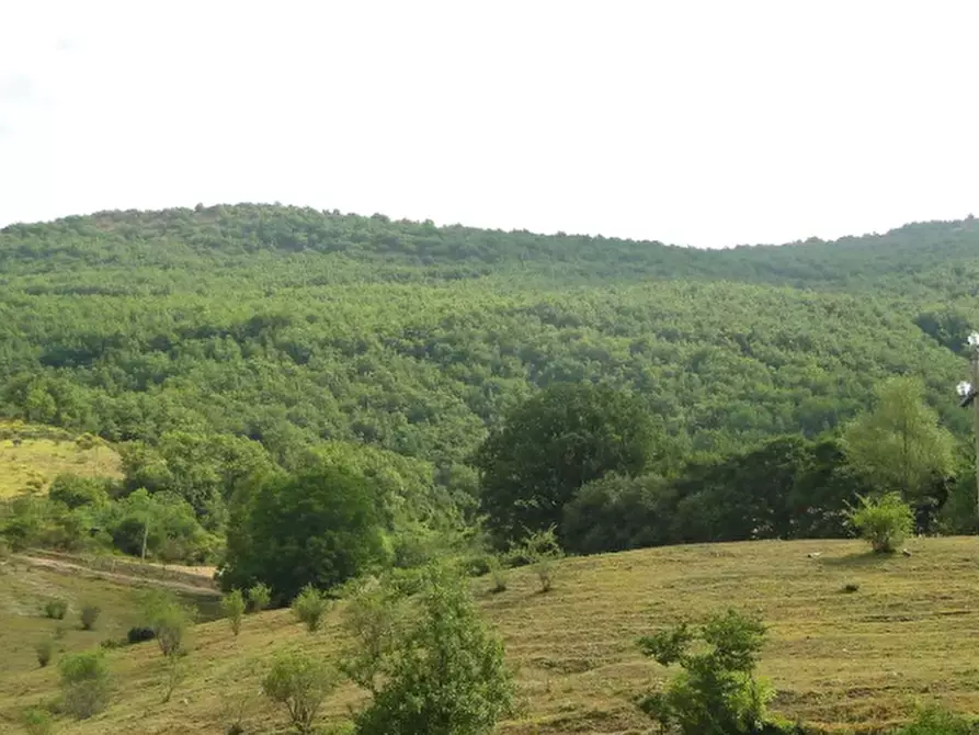 Immagine 6 di Rustico / casale in vendita  in Loc. Belvedere a Cantiano