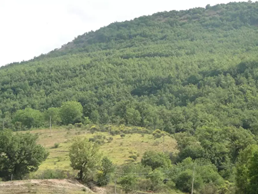 Immagine 7 di Rustico / casale in vendita  in Loc. Belvedere a Cantiano