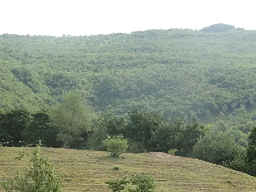 Immagine 8 di Rustico / casale in vendita  in Loc. Belvedere a Cantiano