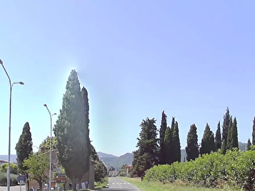 Immagine 5 di Terreno agricolo in vendita  in Via Pontenono a Brisighella