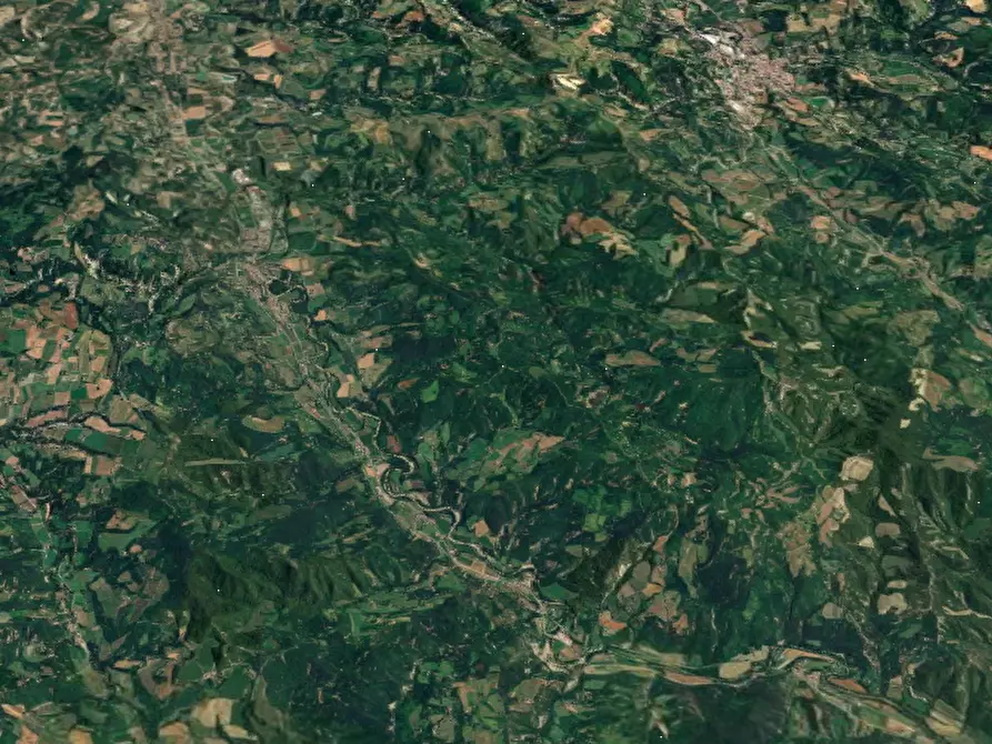 Immagine 11 di Terreno agricolo in vendita  in Via Pontenono a Brisighella