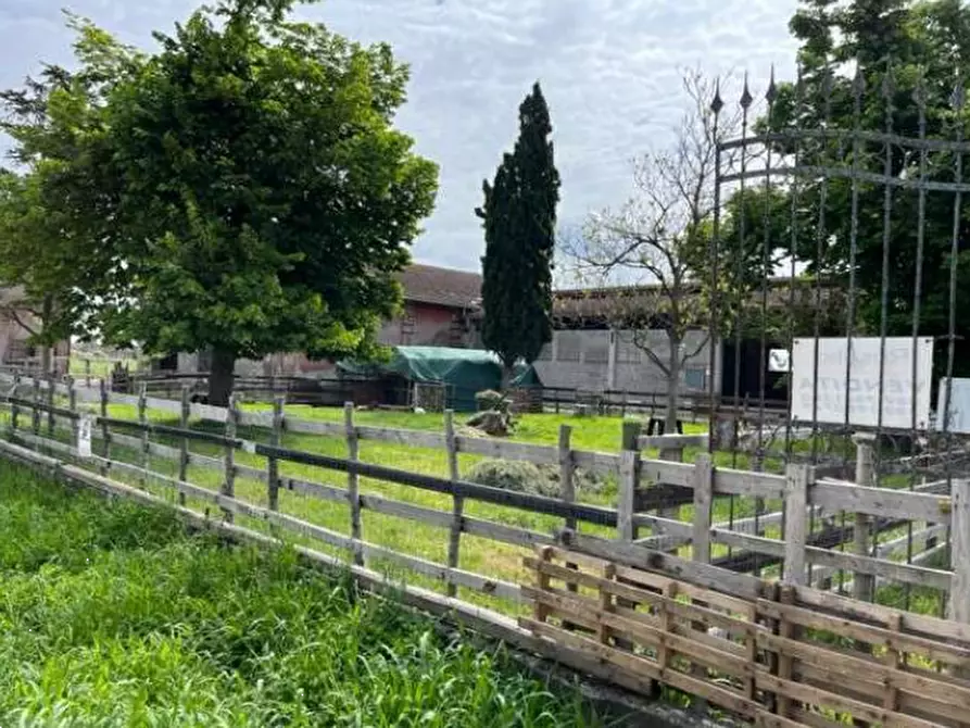 Immagine 7 di Casa indipendente in vendita  in Via Zambone a Quistello