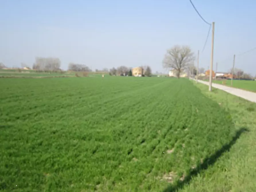 Immagine 1 di Terreno agricolo in vendita  in Via C. Canova a Moglia