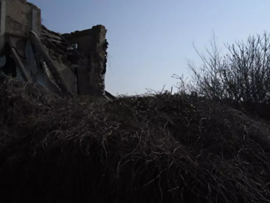Immagine 4 di Terreno agricolo in vendita  in Via C. Canova a Moglia