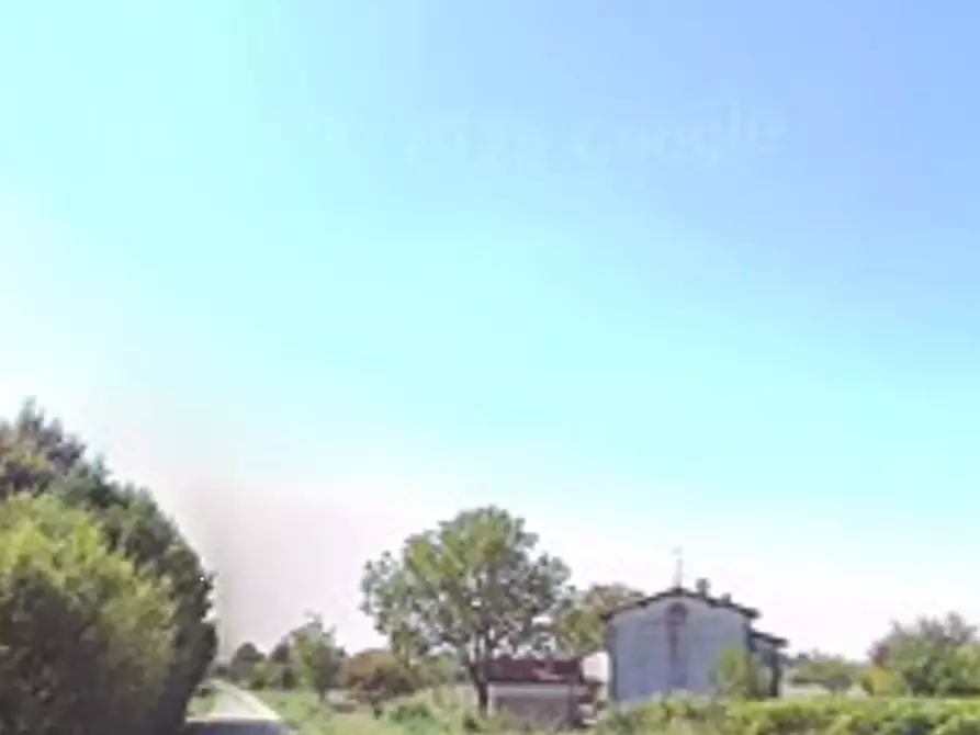 Immagine 6 di Terreno agricolo in vendita  in Via C. Canova a Moglia