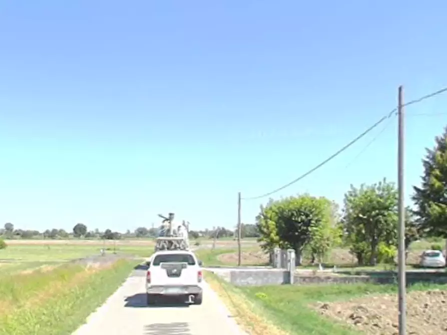 Immagine 7 di Terreno agricolo in vendita  in Via C. Canova a Moglia