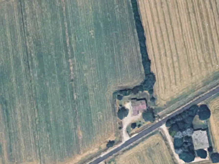 Immagine 9 di Terreno agricolo in vendita  in Via C. Canova a Moglia