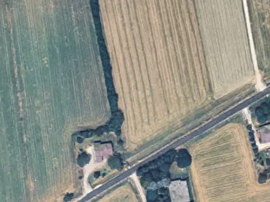 Immagine 11 di Terreno agricolo in vendita  in Via C. Canova a Moglia