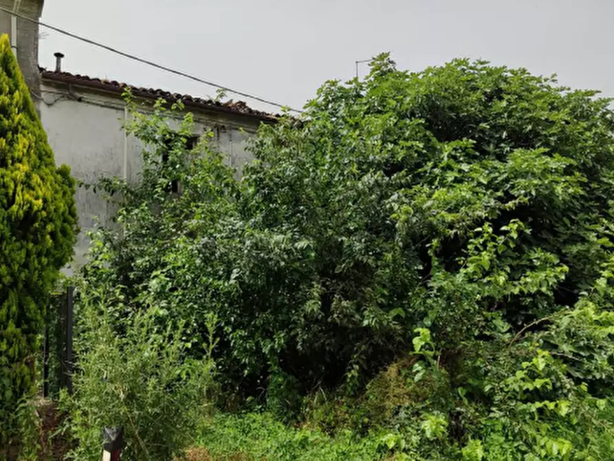 Immagine 1 di Casa indipendente in vendita  in Via Stoppiaro a Poggio Rusco