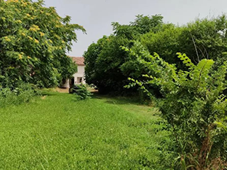 Immagine 4 di Casa indipendente in vendita  in Via Stoppiaro a Poggio Rusco