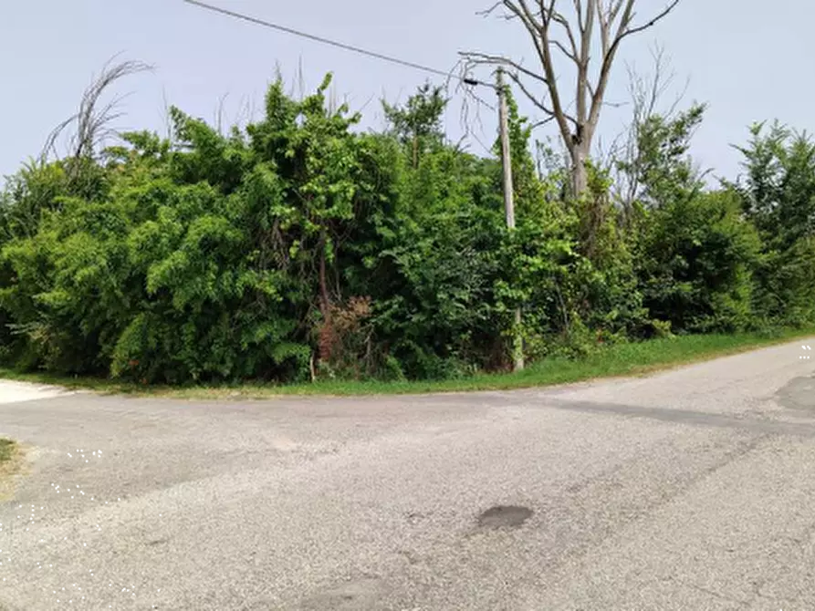 Immagine 5 di Casa indipendente in vendita  in Via Stoppiaro a Poggio Rusco