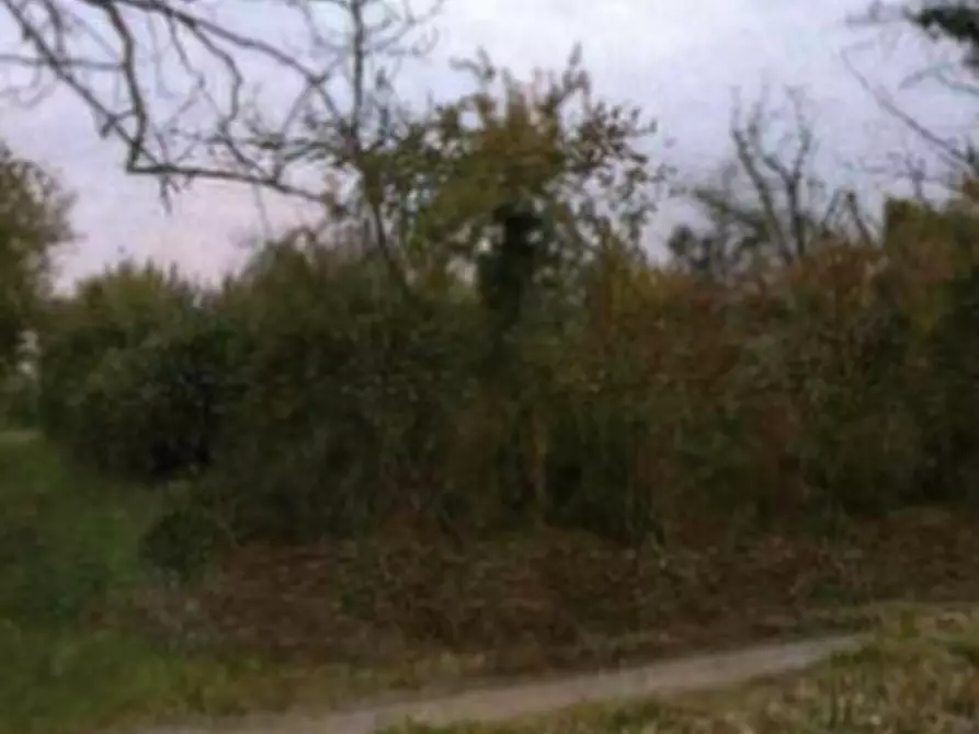 Immagine 1 di Terreno agricolo in vendita  in Località San Martino al Tagliamento a San Martino Al Tagliamento